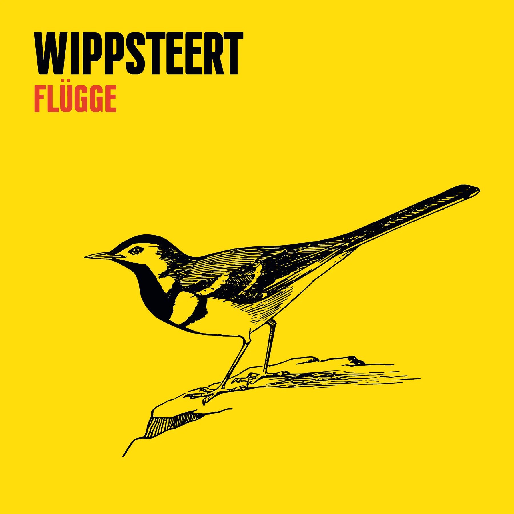 Wippesteert_Flügge.png