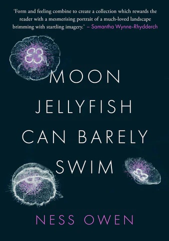 MoonJellyFish-low_large.jpeg